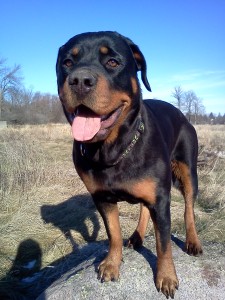 In right relationship