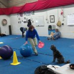 Carlie and Shirley at Treibball