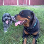 Carlie & Rayna on a break