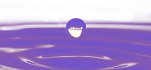 Komyo Reiki Do Komyo Reiki Do